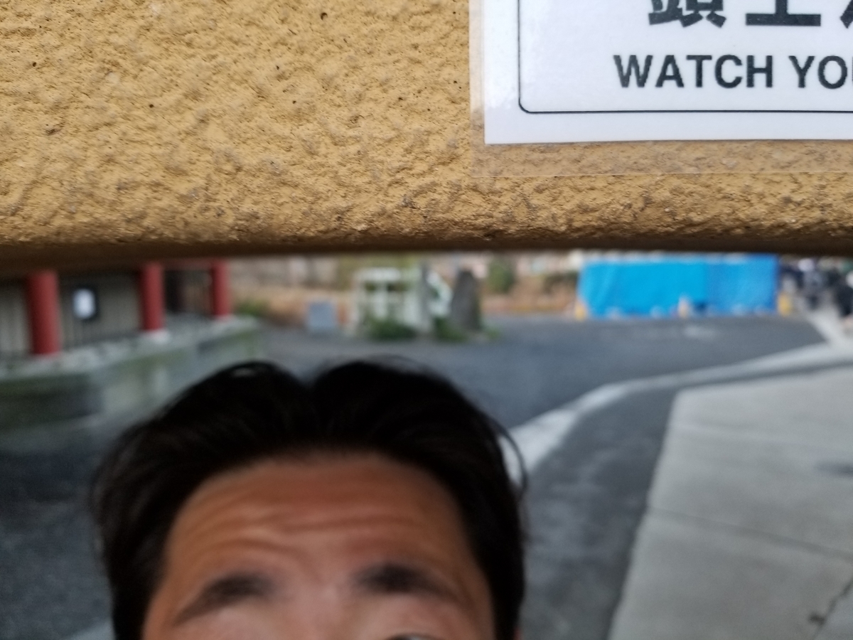 f:id:nochibo3:20191227141031j:plain f:id:nochibo3:20191227141031j:plain