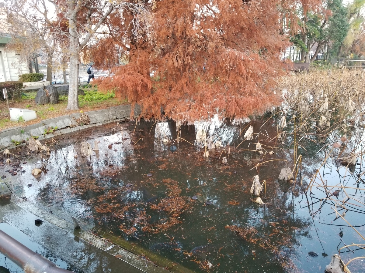 f:id:nochibo3:20191227141253j:plain f:id:nochibo3:20191227141253j:plain