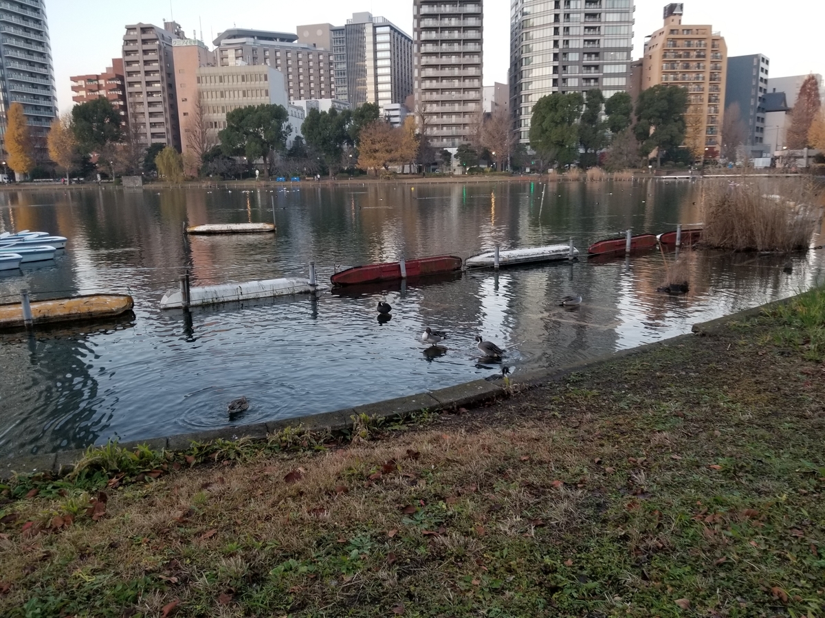 f:id:nochibo3:20191227143221j:plain f:id:nochibo3:20191227143221j:plain