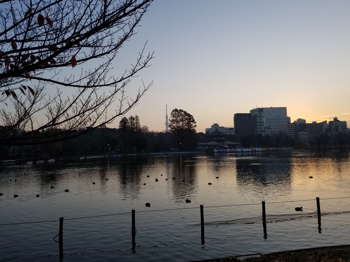 f:id:nochibo3:20191227143256j:plain f:id:nochibo3:20191227143256j:plain