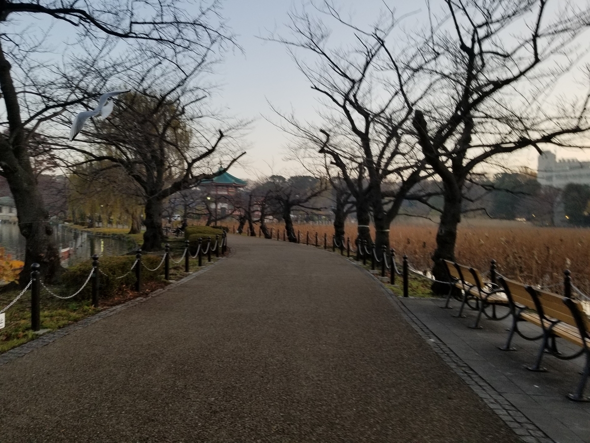 f:id:nochibo3:20191227143405j:plain f:id:nochibo3:20191227143405j:plain