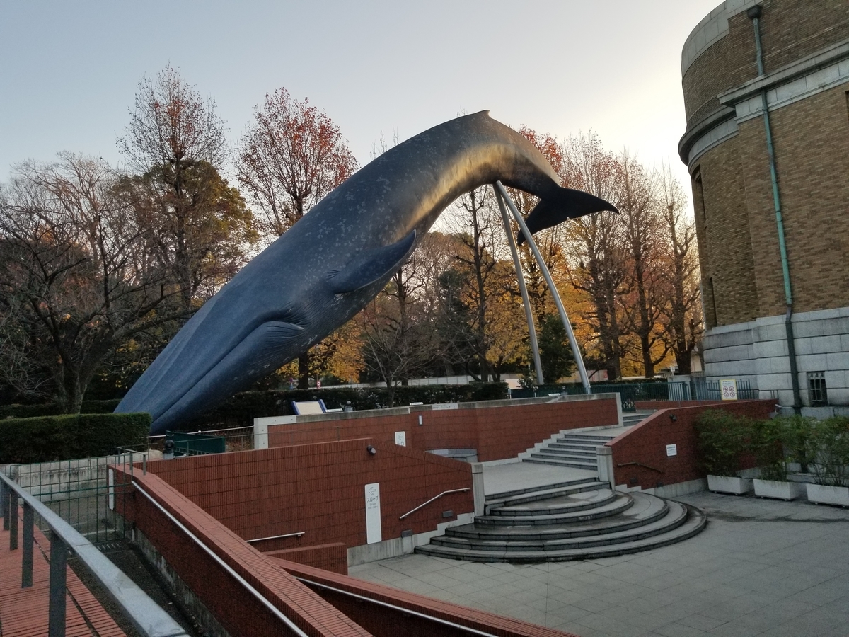 f:id:nochibo3:20191227150431j:plain f:id:nochibo3:20191227150431j:plain