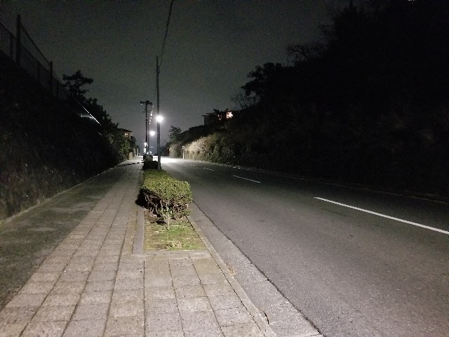 f:id:nochibo3:20191230234529j:image
