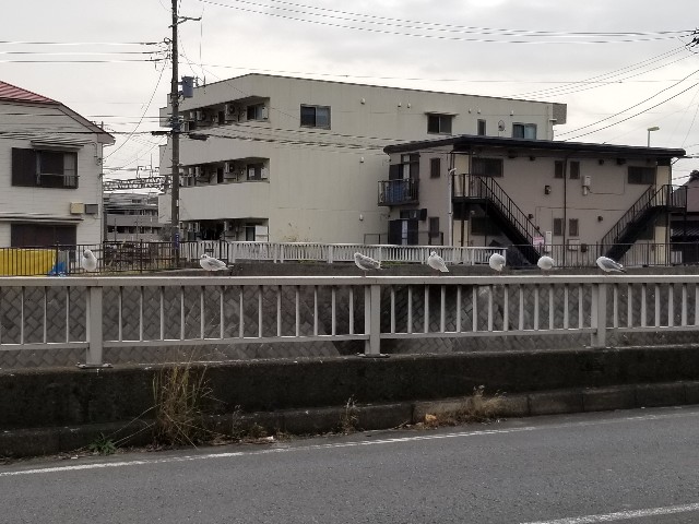 f:id:nochibo3:20200113122137j:image