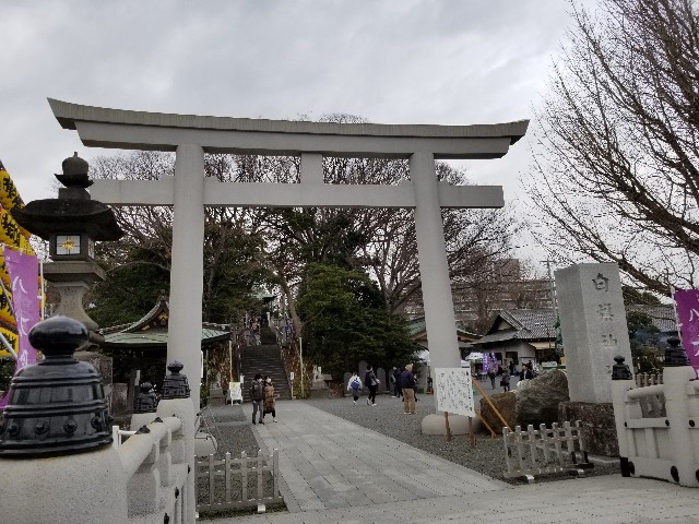 f:id:nochibo3:20200113123537j:image