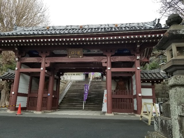 f:id:nochibo3:20200113124813j:image