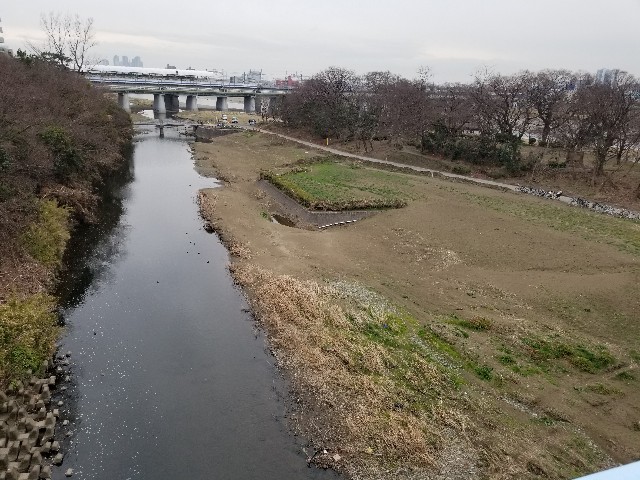 f:id:nochibo3:20200128073517j:image f:id:nochibo3:20200128073517j:image