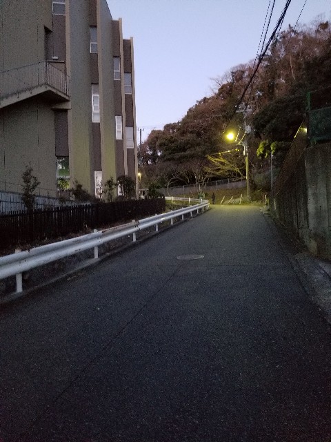 f:id:nochibo3:20200209230136j:image