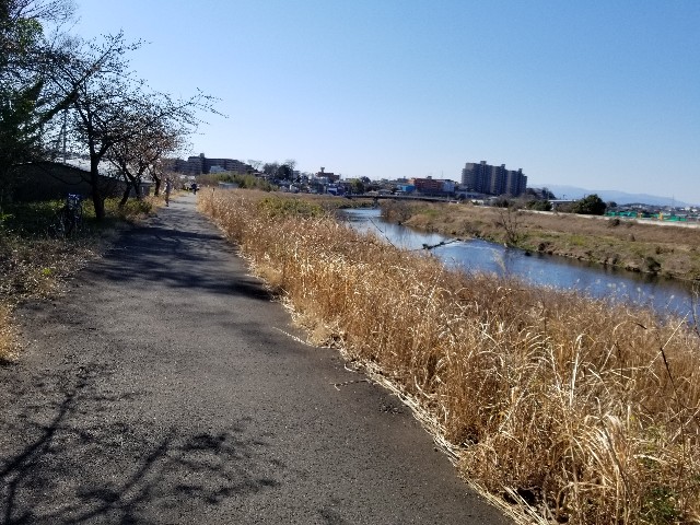 f:id:nochibo3:20200212073427j:image