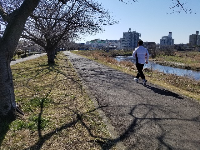 f:id:nochibo3:20200212074026j:image