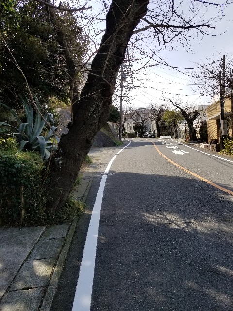 f:id:nochibo3:20200301120803j:image f:id:nochibo3:20200301120803j:image