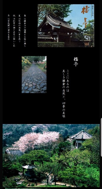 f:id:nochibo3:20200301121845j:image f:id:nochibo3:20200301121845j:image