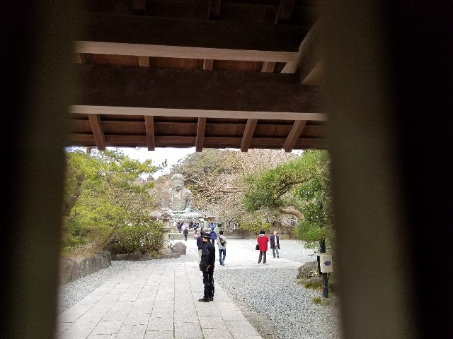 f:id:nochibo3:20200301123941j:image f:id:nochibo3:20200301123941j:image