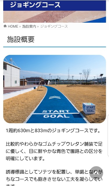 f:id:nochibo3:20200303231246j:image
