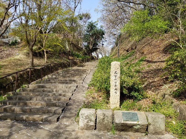 f:id:nochibo3:20200323081202j:image f:id:nochibo3:20200323081202j:image