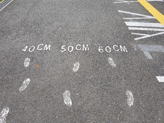 f:id:nochibo3:20200902135507j:image f:id:nochibo3:20200902135507j:image