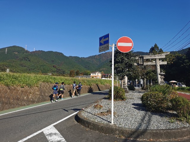f:id:nochibo3:20201105092816j:image f:id:nochibo3:20201105092816j:image