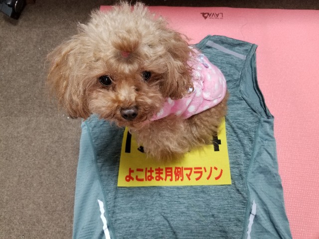 f:id:nochibo3:20201117170140j:plain