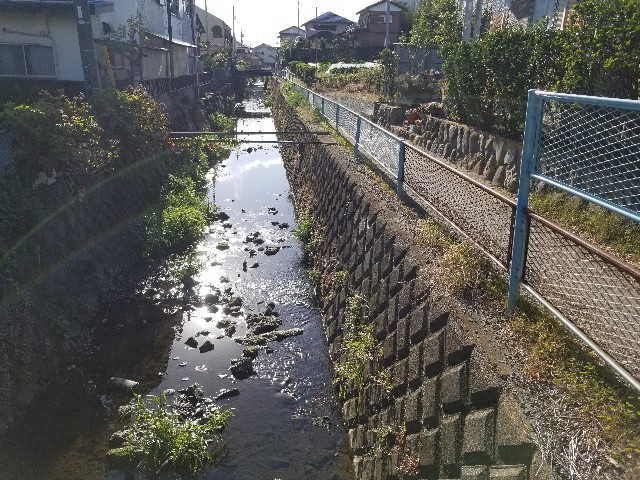 f:id:nochibo3:20201123125637j:image f:id:nochibo3:20201123125637j:image
