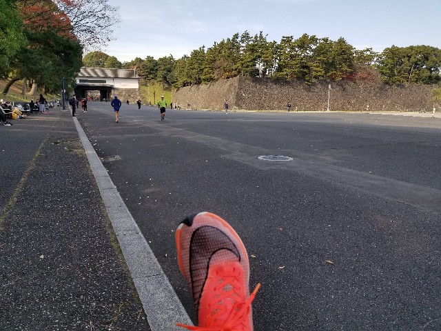 f:id:nochibo3:20201214143346j:plain