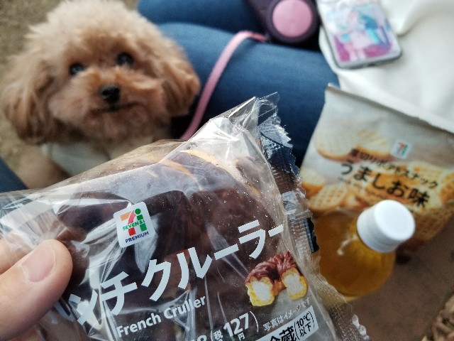 f:id:nochibo3:20210118122017j:image f:id:nochibo3:20210118122017j:image
