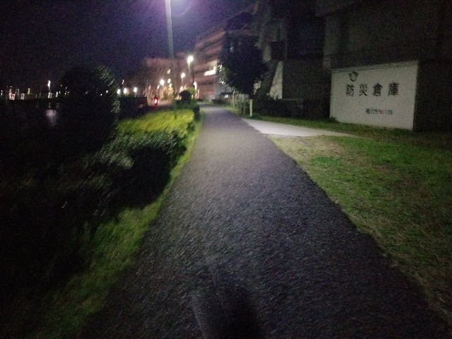 f:id:nochibo3:20210325171845j:plain