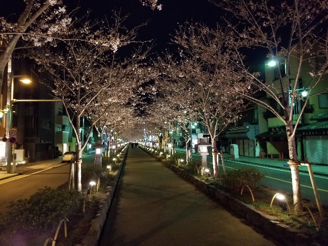 f:id:nochibo3:20210329165048j:image f:id:nochibo3:20210329165048j:image