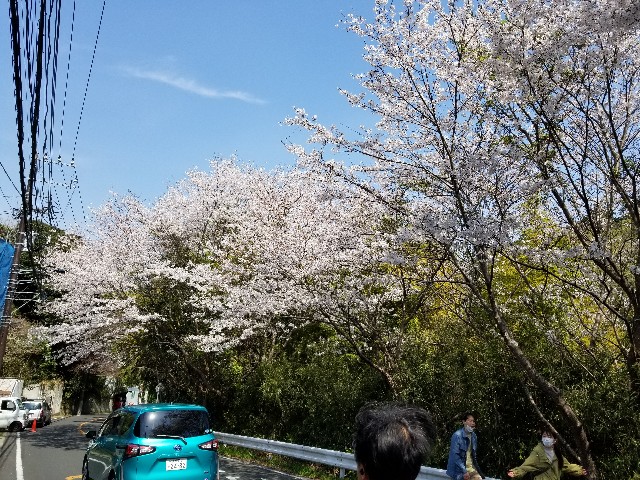 f:id:nochibo3:20210329165242j:image f:id:nochibo3:20210329165242j:image