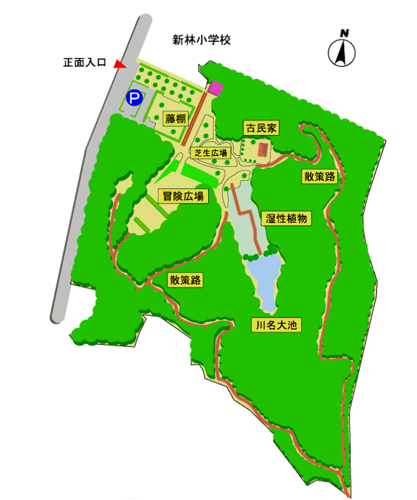 カワセミのこととか 新林公園番外編 その一分が遠いのよ