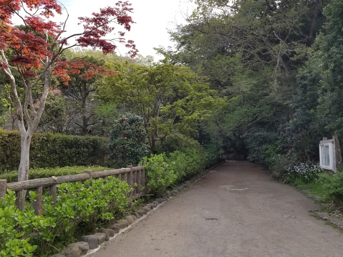 f:id:nochibo3:20210405180630j:plain
