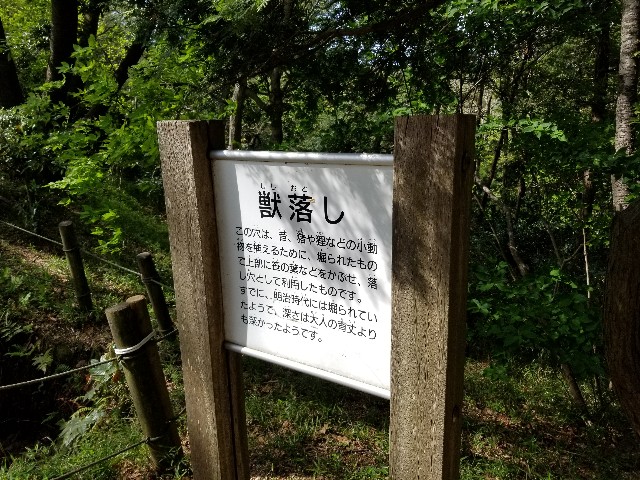 f:id:nochibo3:20210405200754j:image f:id:nochibo3:20210405200754j:image