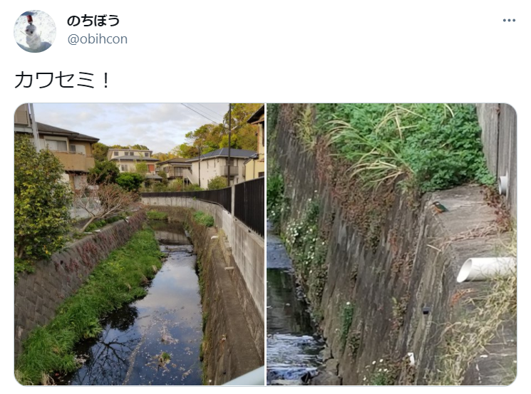 f:id:nochibo3:20210406123726p:plain