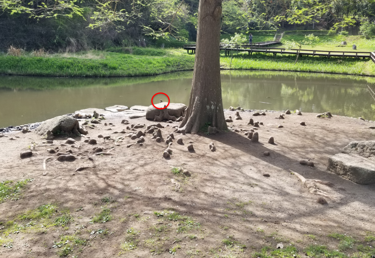f:id:nochibo3:20210406125502p:plain