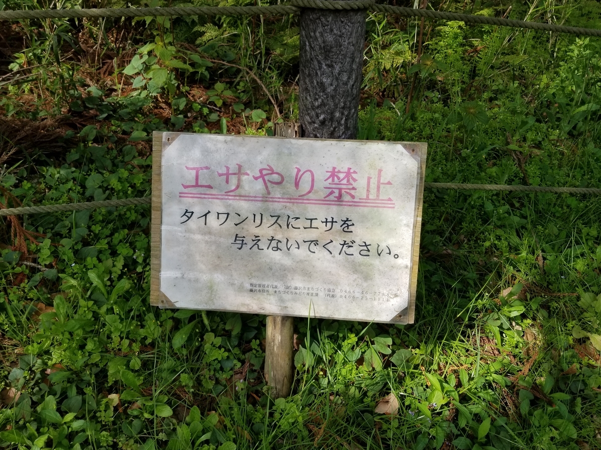 f:id:nochibo3:20210406133503j:plain