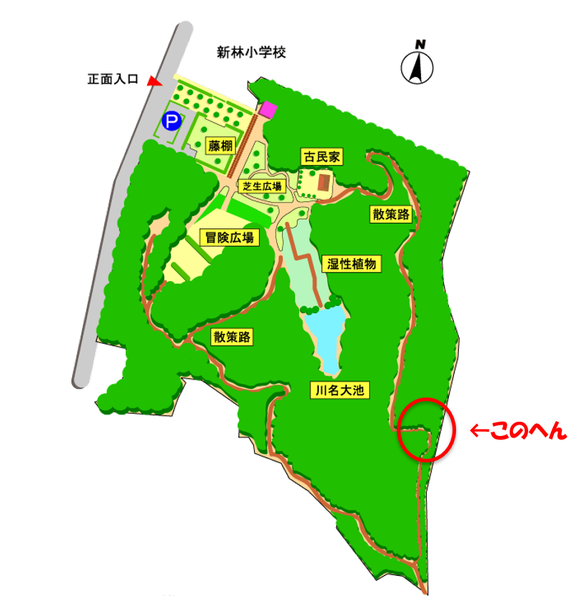 f:id:nochibo3:20210406153828p:plain