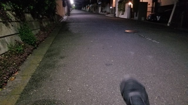 f:id:nochibo3:20210408193332j:image f:id:nochibo3:20210408193332j:image