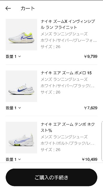 f:id:nochibo3:20210518113208j:plain
