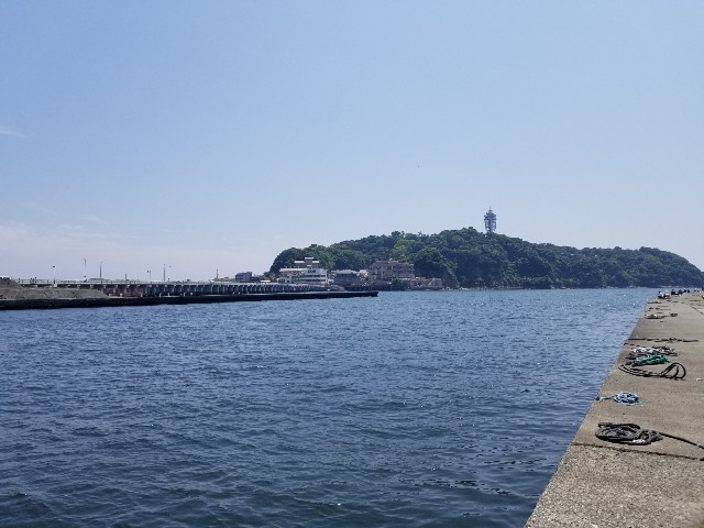 f:id:nochibo3:20210531204404j:image f:id:nochibo3:20210531204404j:image