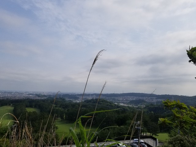 f:id:nochibo3:20210601180159j:plain