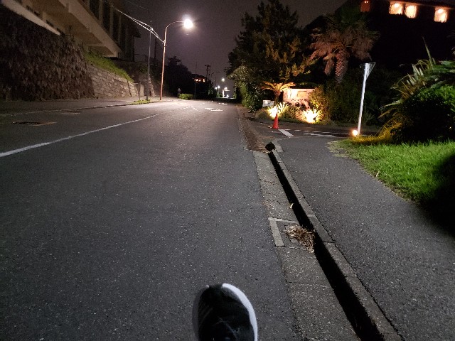 f:id:nochibo3:20210628173646j:image