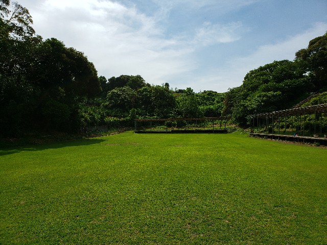 f:id:nochibo3:20210628174430j:plain