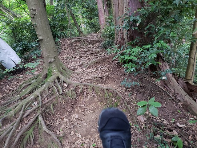 f:id:nochibo3:20210628174432j:image