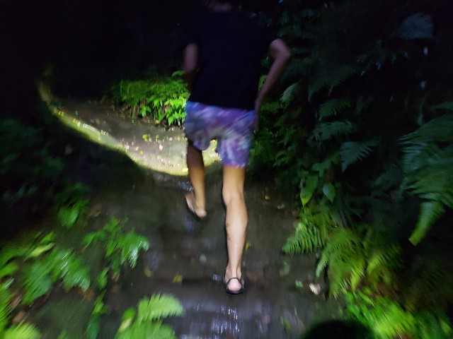 f:id:nochibo3:20210714213214j:plain