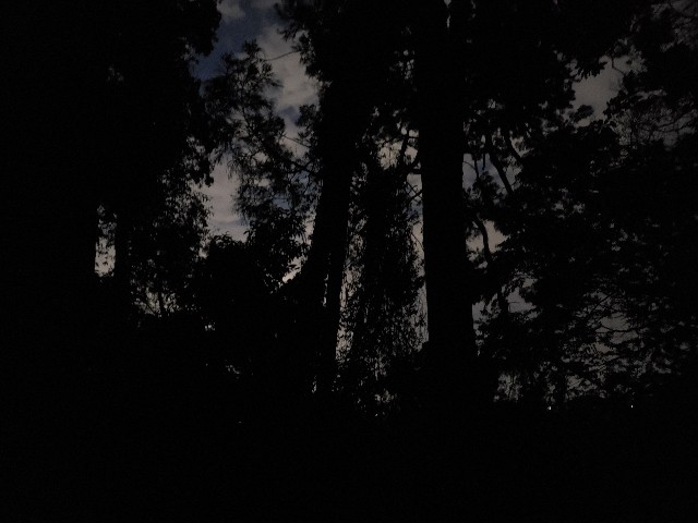f:id:nochibo3:20210714221442j:image