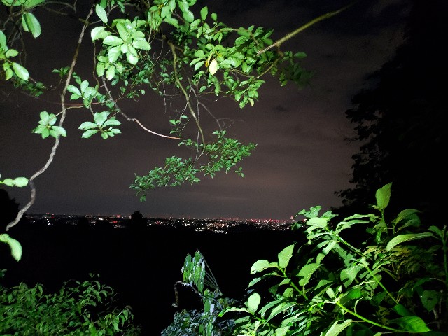 f:id:nochibo3:20210714222413j:plain