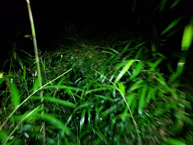 f:id:nochibo3:20210714223218j:image