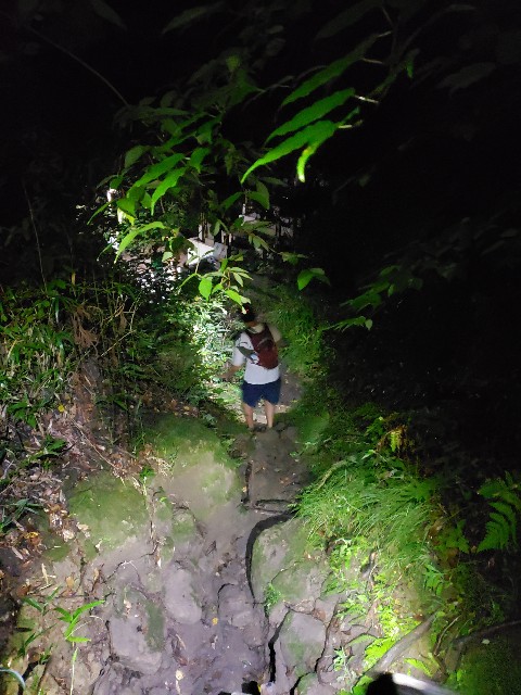 f:id:nochibo3:20210714223823j:plain