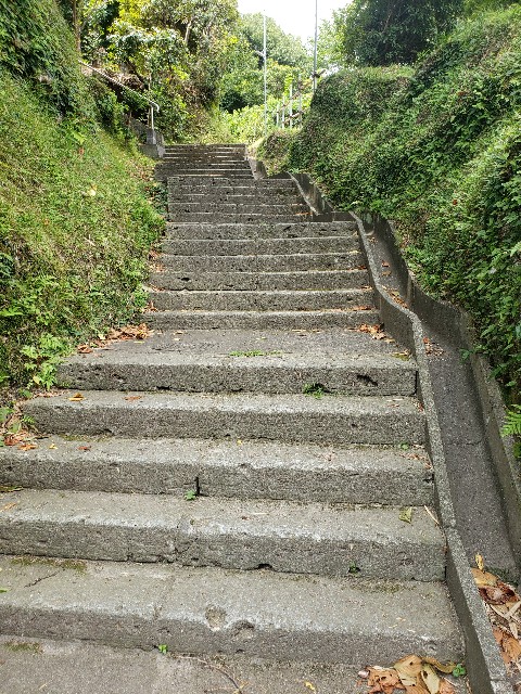 f:id:nochibo3:20210802005241j:image f:id:nochibo3:20210802005241j:image