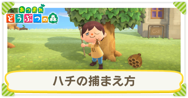 f:id:nochibo3:20210830105142p:plain