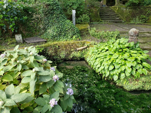 f:id:nochibo3:20210830113842j:plain